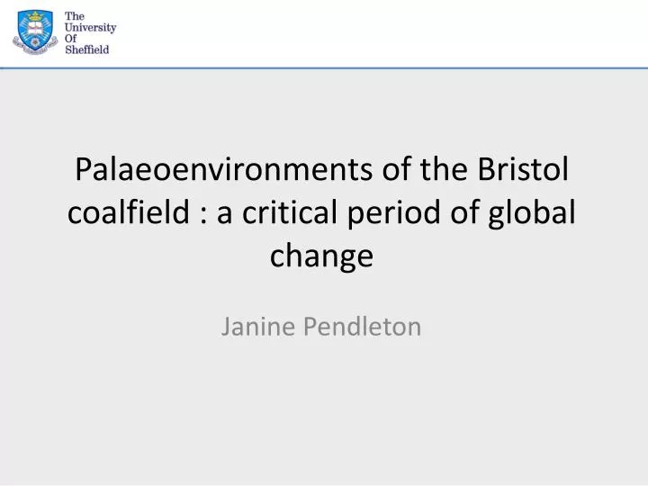 palaeoenvironments of the bristol coalfield a critical period of global change