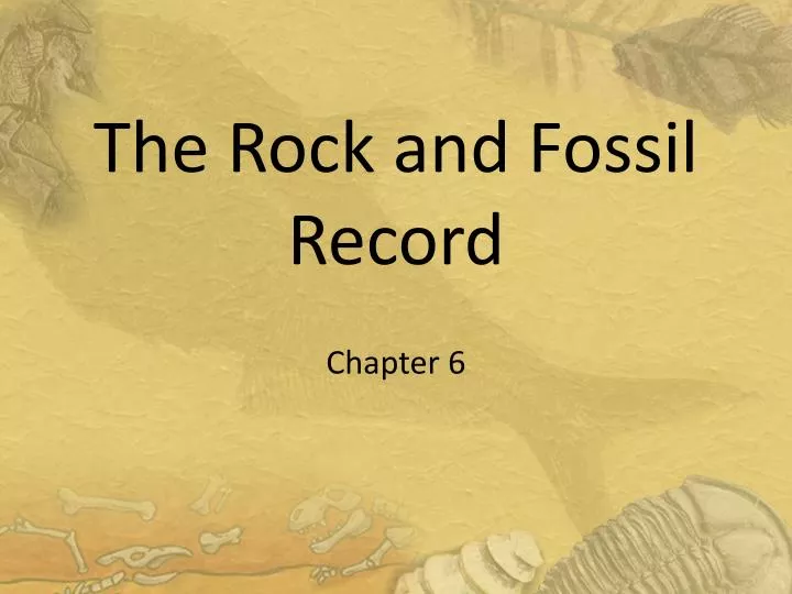 the rock and fossil record