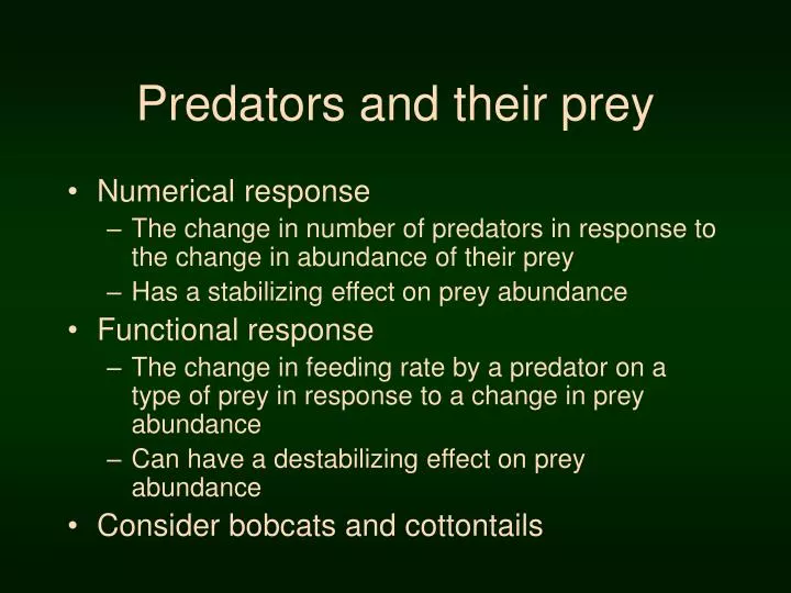 predators and their prey