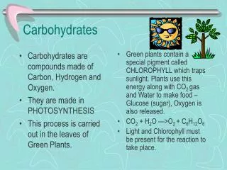 Carbohydrates