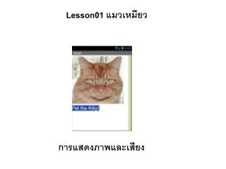 lesson01