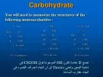 Carbohydrate - slide 1