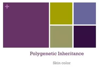 Polygenetic Inheritance