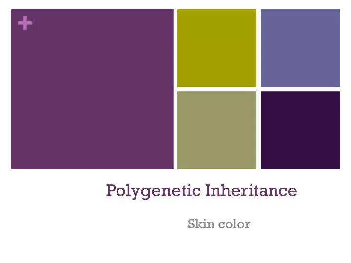 polygenetic inheritance