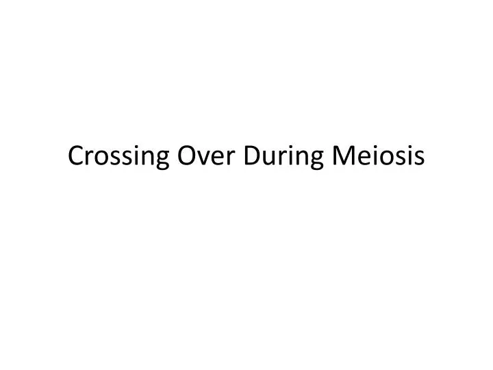 crossing over during meiosis