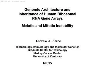 Genomic Architecture and Inheritance of Human Ribosomal RNA Gene Arrays