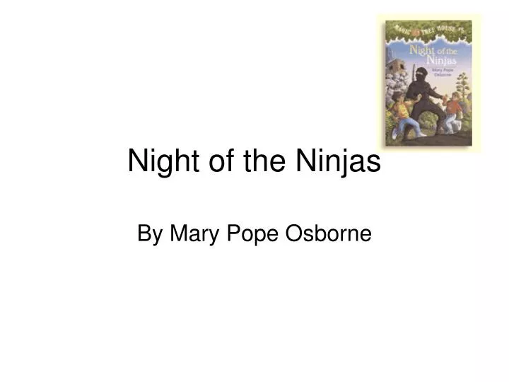 night of the ninjas