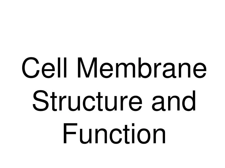 cell membrane structure and function