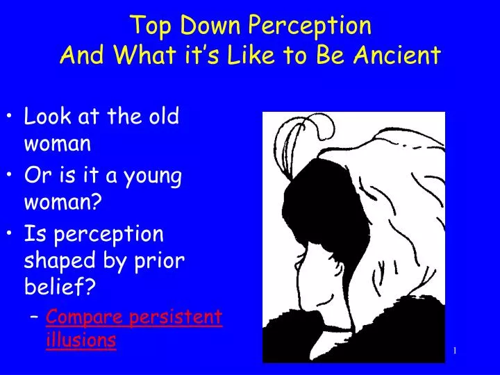 top down perception and what it s like to be ancient