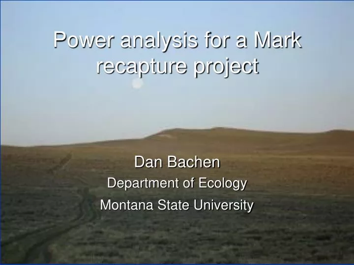power analysis for a mark recapture project