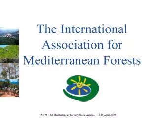 The International Association for Mediterranean Forests