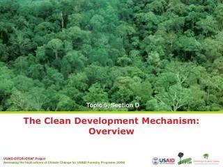 The Clean Development Mechanism: Overview