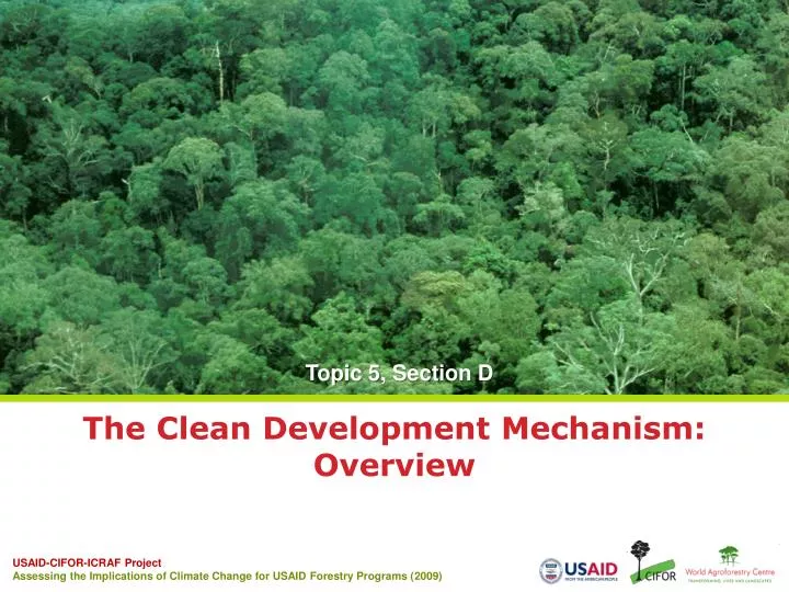 the clean development mechanism overview