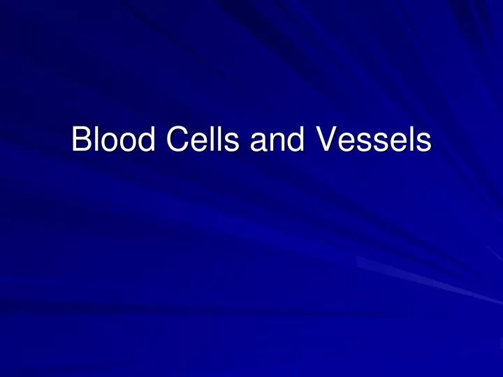 blood cells and vessels