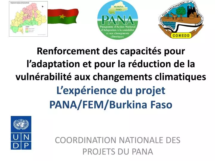 coordination nationale des projets du pana