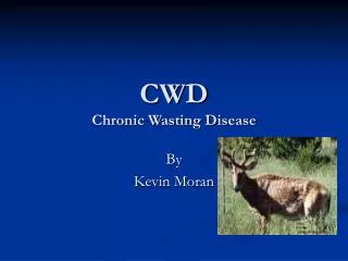 CWD Chronic Wasting Disease