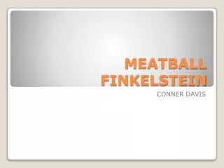 MEATBALL FINKELSTEIN