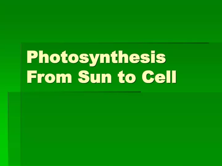 photosynthesis from sun to cell