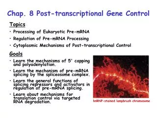 Chap. 8 Post-transcriptional Gene Control