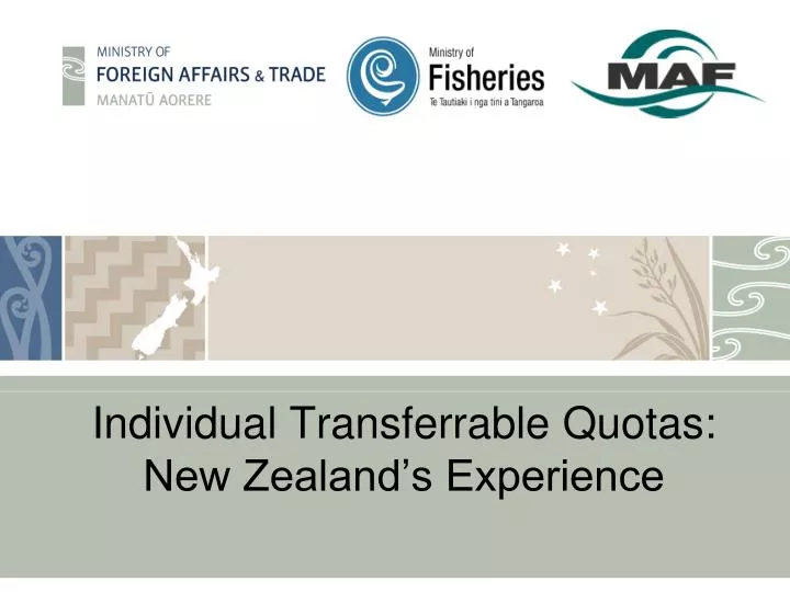 individual transferrable quotas new zealand s experience