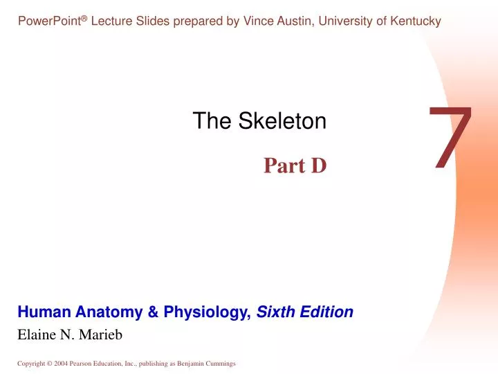 the skeleton part d