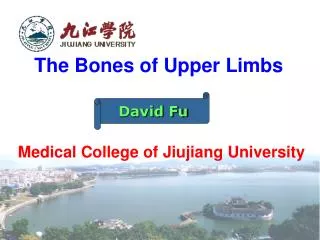 The Bones of Upper Limbs Medical College of Jiujiang University