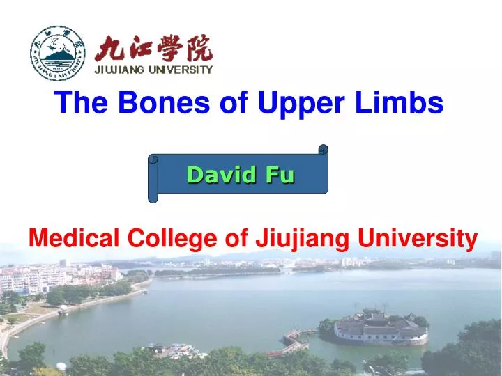 the bones of upper limbs medical college of jiujiang university