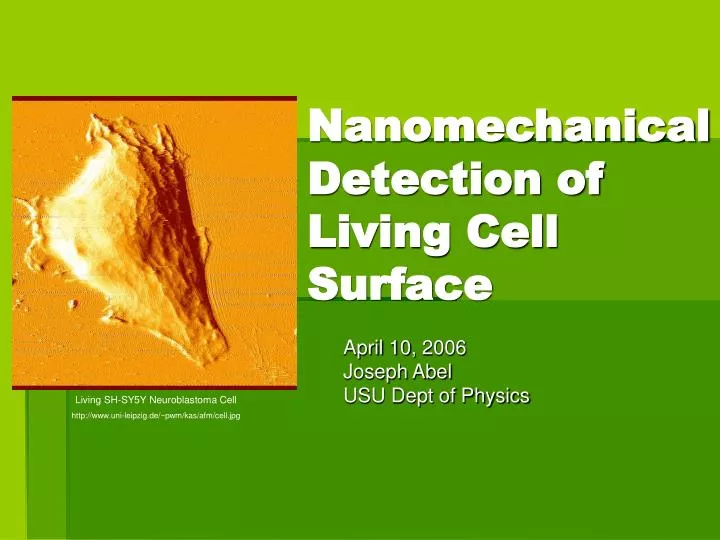 nanomechanical detection of living cell surface