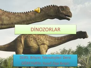 d nozorlar