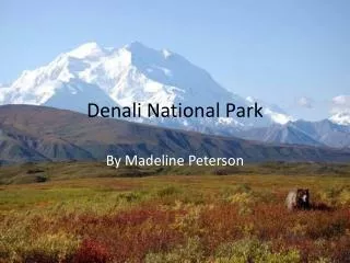 Denali National Park