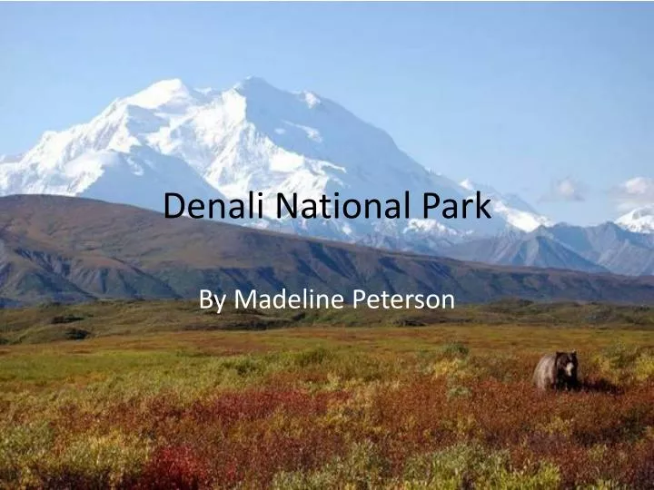 denali national park