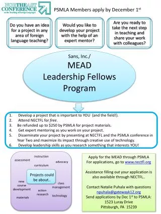 Sans, Inc./ MEAD Leadership Fellows Program