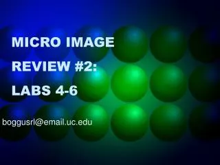 MICRO IMAGE REVIEW #2: LABS 4-6