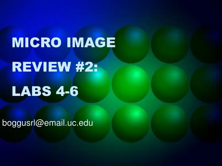 micro image review 2 labs 4 6