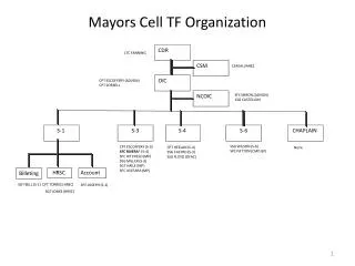 Mayors Cell TF Organization
