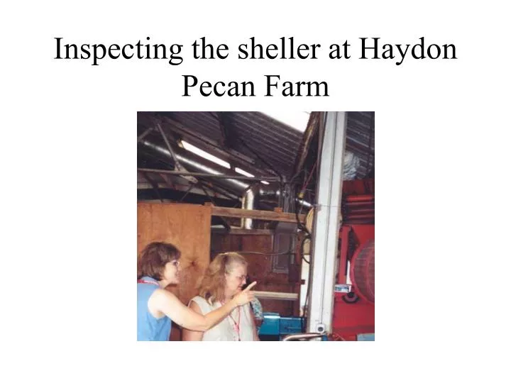 inspecting the sheller at haydon pecan farm
