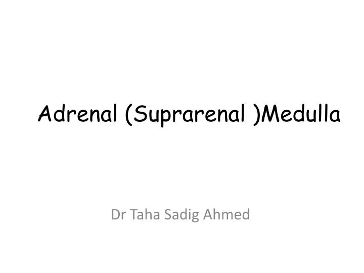 adrenal suprarenal medulla