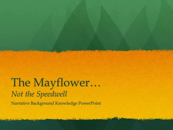 the mayflower not the speedwell