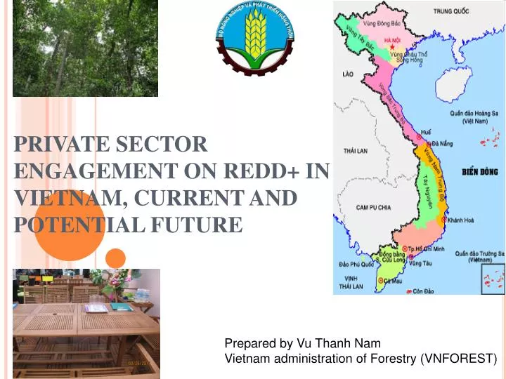 private sector engagement on redd in vietnam current and potential future