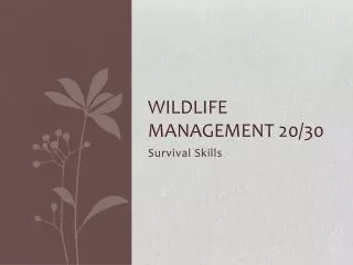 Wildlife management 20/30