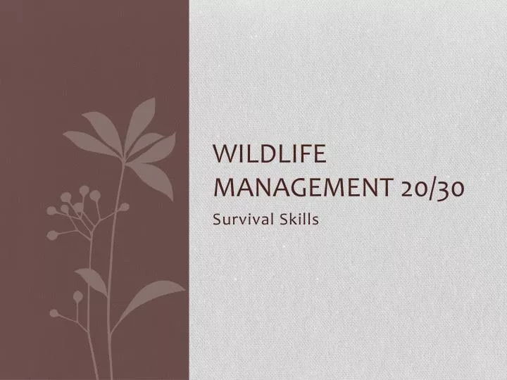 wildlife management 20 30