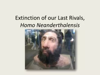Extinction of our Last Rivals, Homo Neanderthalensis