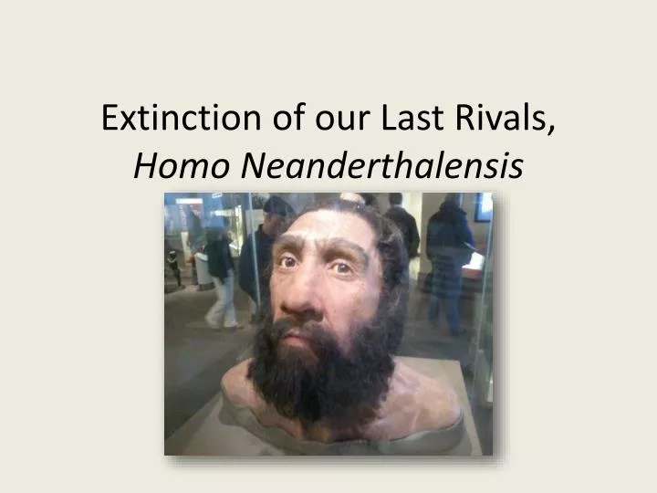 extinction of our last rivals homo neanderthalensis