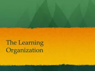 The Learning Organization