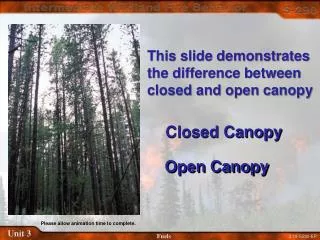 Closed Canopy