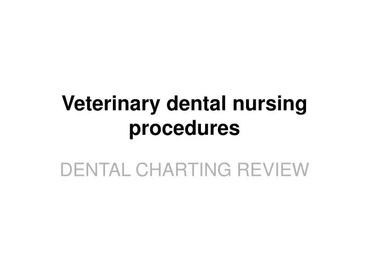 veterinary dental nursing procedures