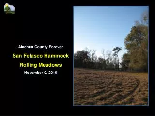 Alachua County Forever San Felasco Hammock Rolling Meadows November 9, 2010
