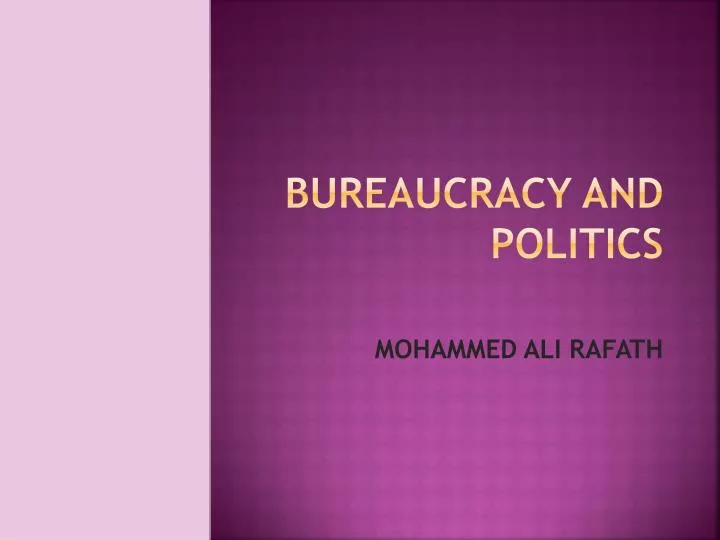 bureaucracy and politics