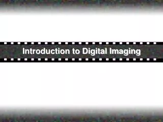 Introduction to Digital Imaging