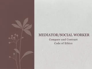 Mediator/Social Worker